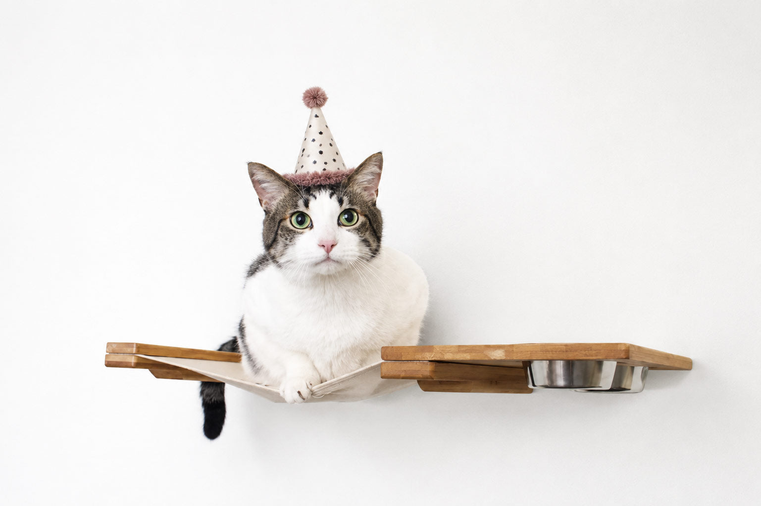 Dog Proof Cat Feeder - Wall-Mounted - Raised