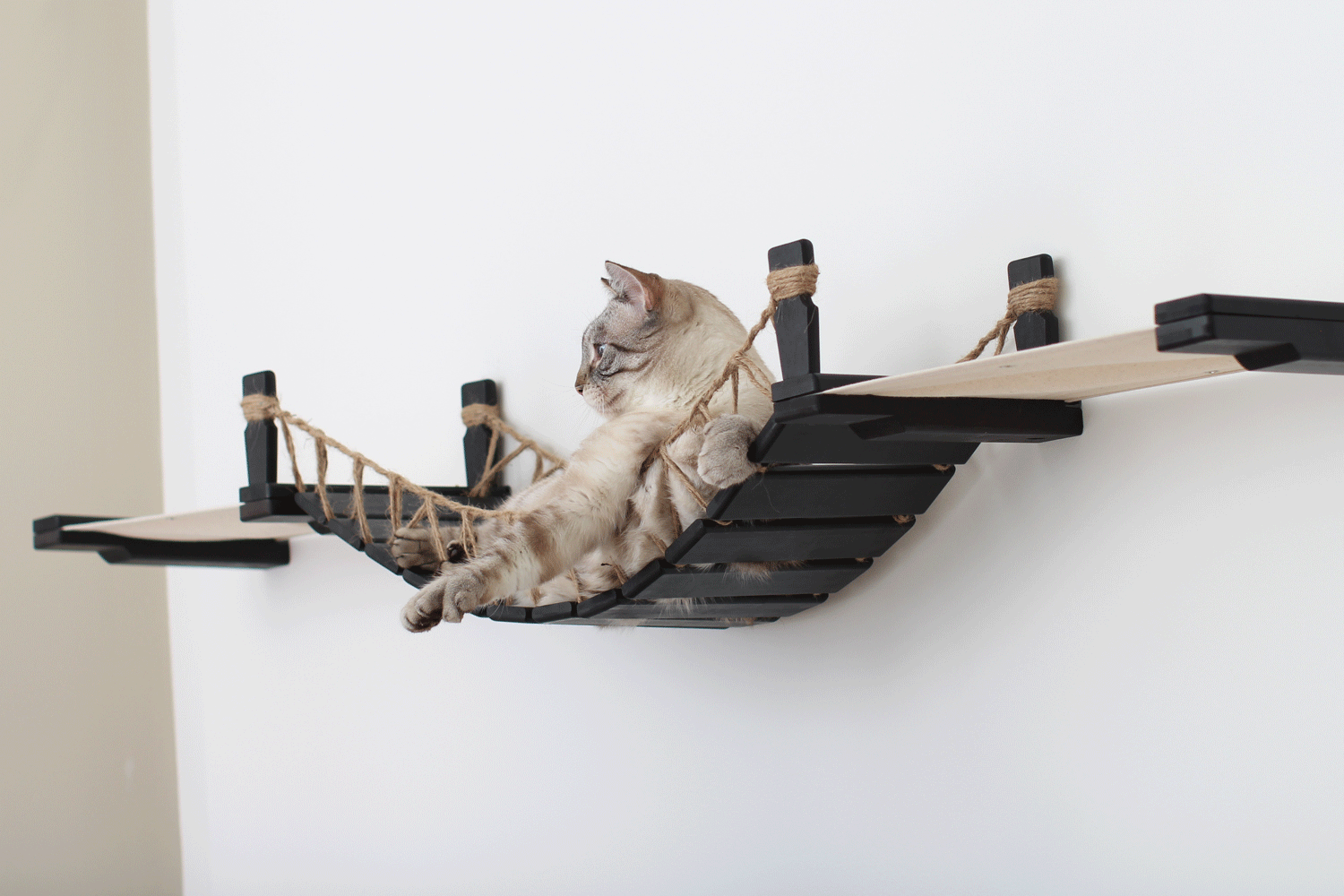 Double Cat Hammock and Climbing Bridge Combo