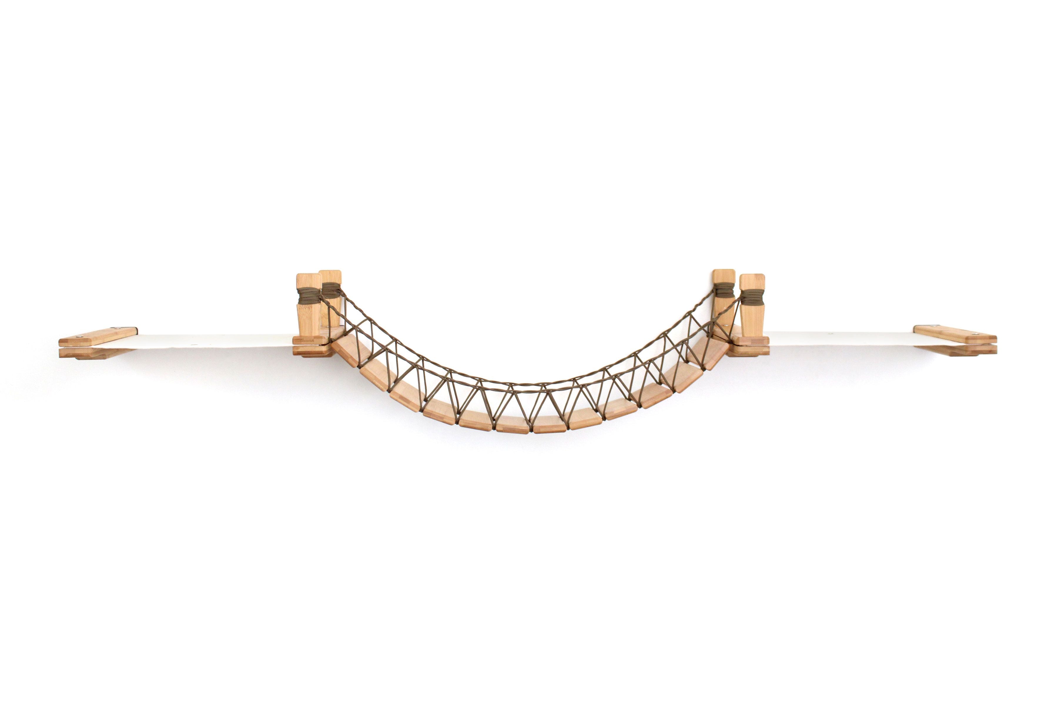 Double Cat Hammock and Climbing Bridge Combo