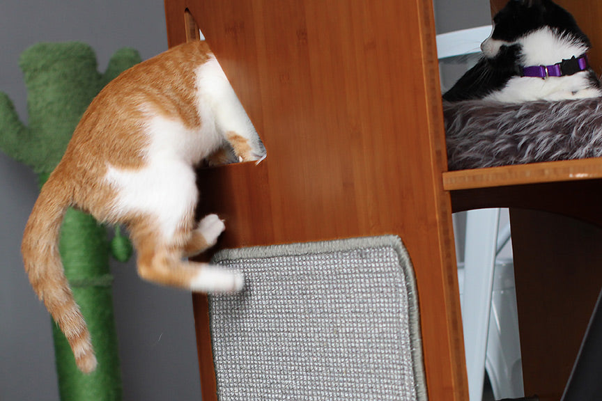 The Overlook - Sturdy - Bamboo Cat Tree