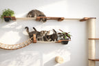 The Juggernaut - Indoor Cat Playground for Wall