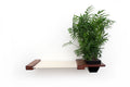 Cat Hammock Wall with Planter