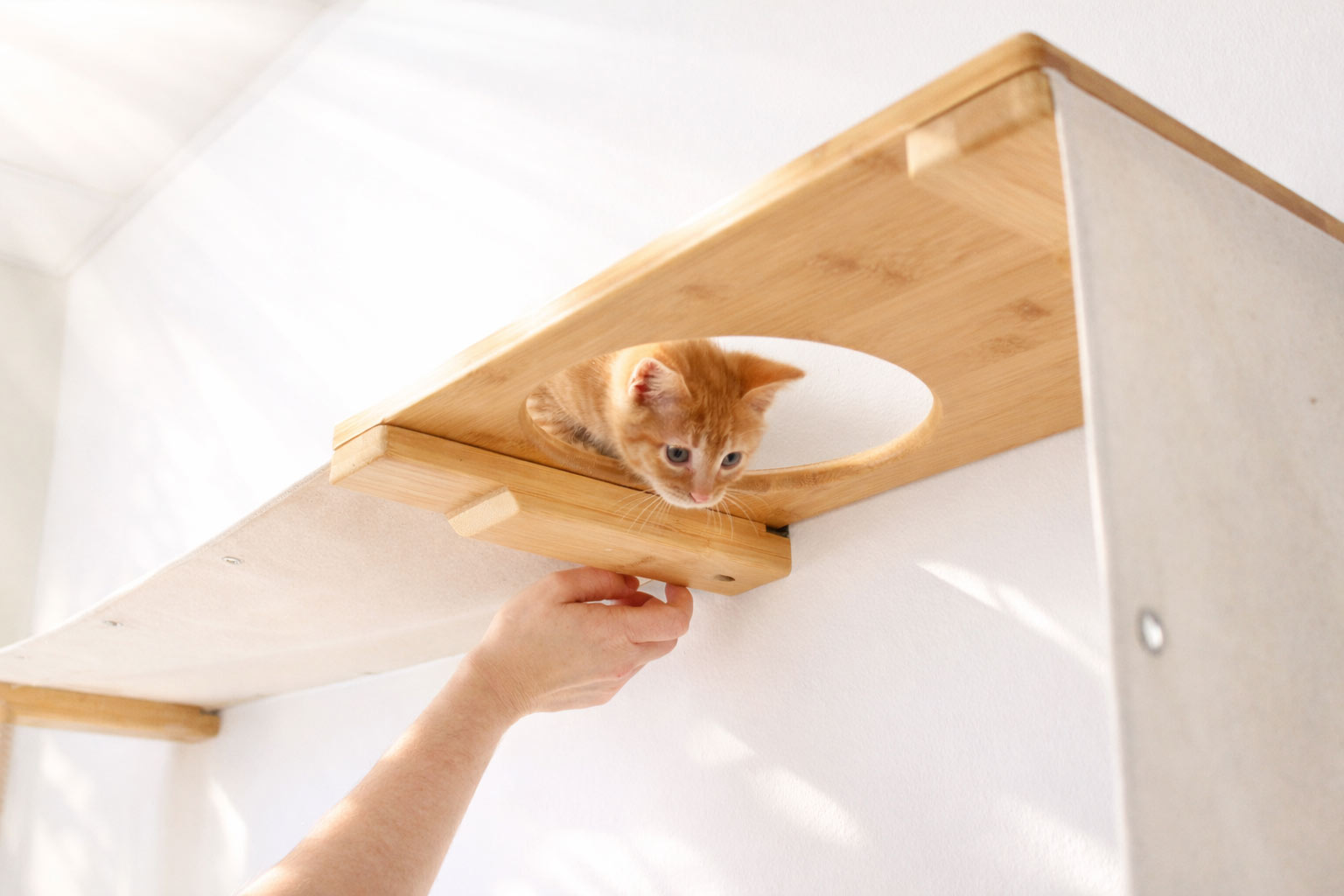 Cat Maze Wall - 3 Tier Cat Tree