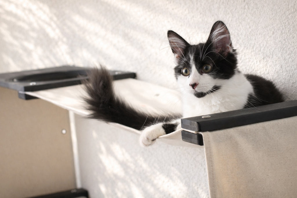 Cat Maze Wall - 3 Tier Cat Tree