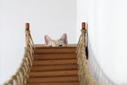 The Expedition - Cat Jungle Gym Wall System