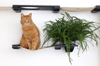 The Gardens - Modern Cat Tree with Plants