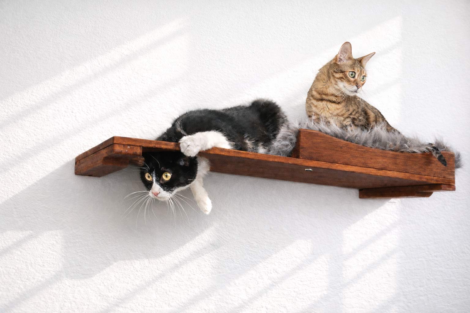 The Cat Nest Bed