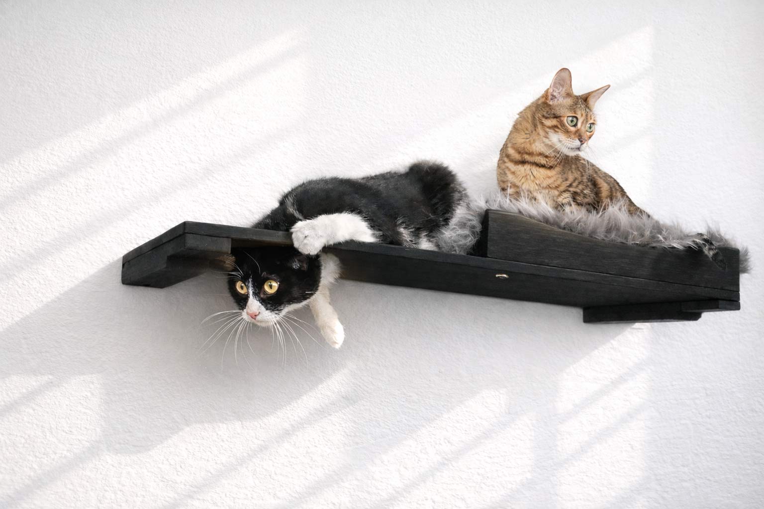 The Cat Nest Bed
