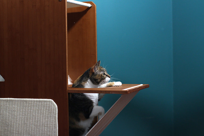 The Overlook - Sturdy - Bamboo Cat Tree