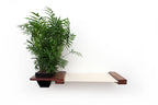 Cat Hammock Wall with Planter