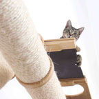 The Plateau - Horizontal Cat Scratcher Bed Set