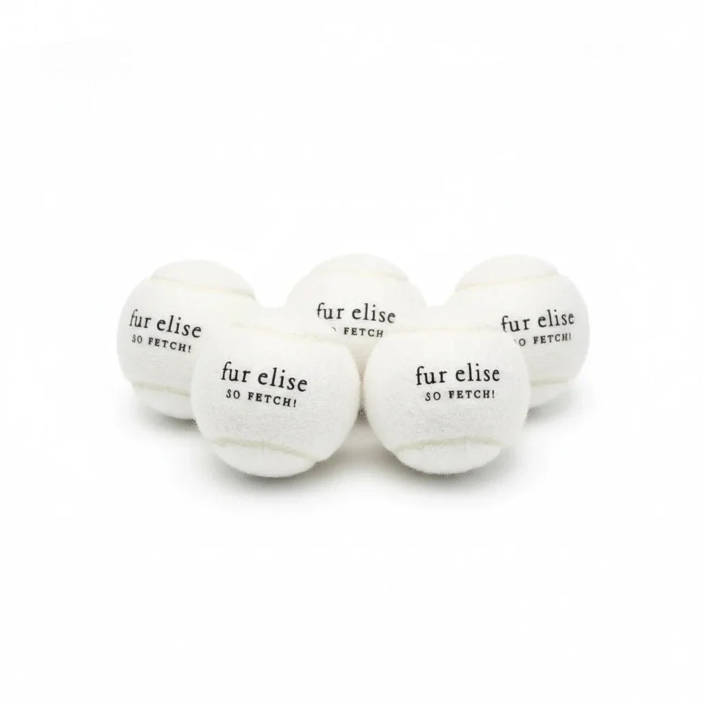 Fur Elise So Fetch! Tennis Ball Pack of 5 - Ivory
