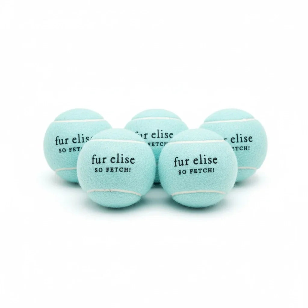 Fur Elise So Fetch! Tennis Ball Pack of 5 - Cloud