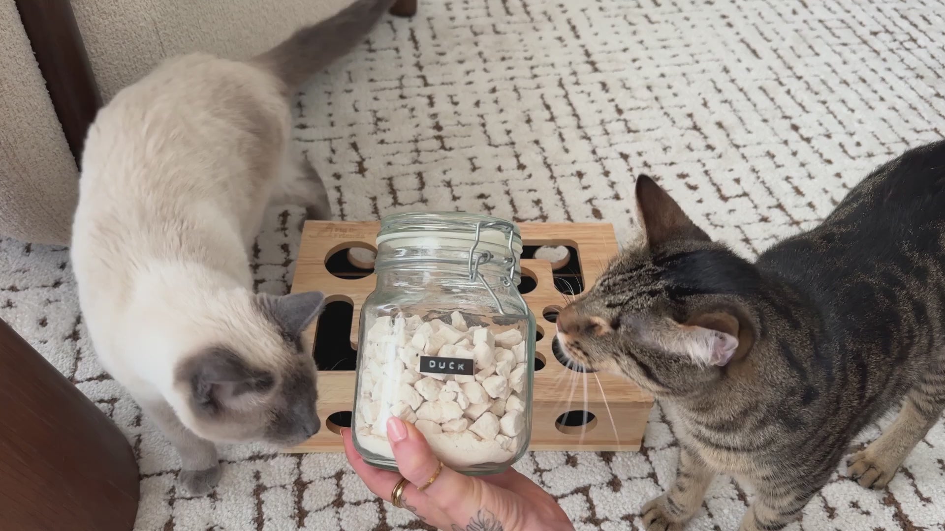 Cat Nail File Enrichment Box