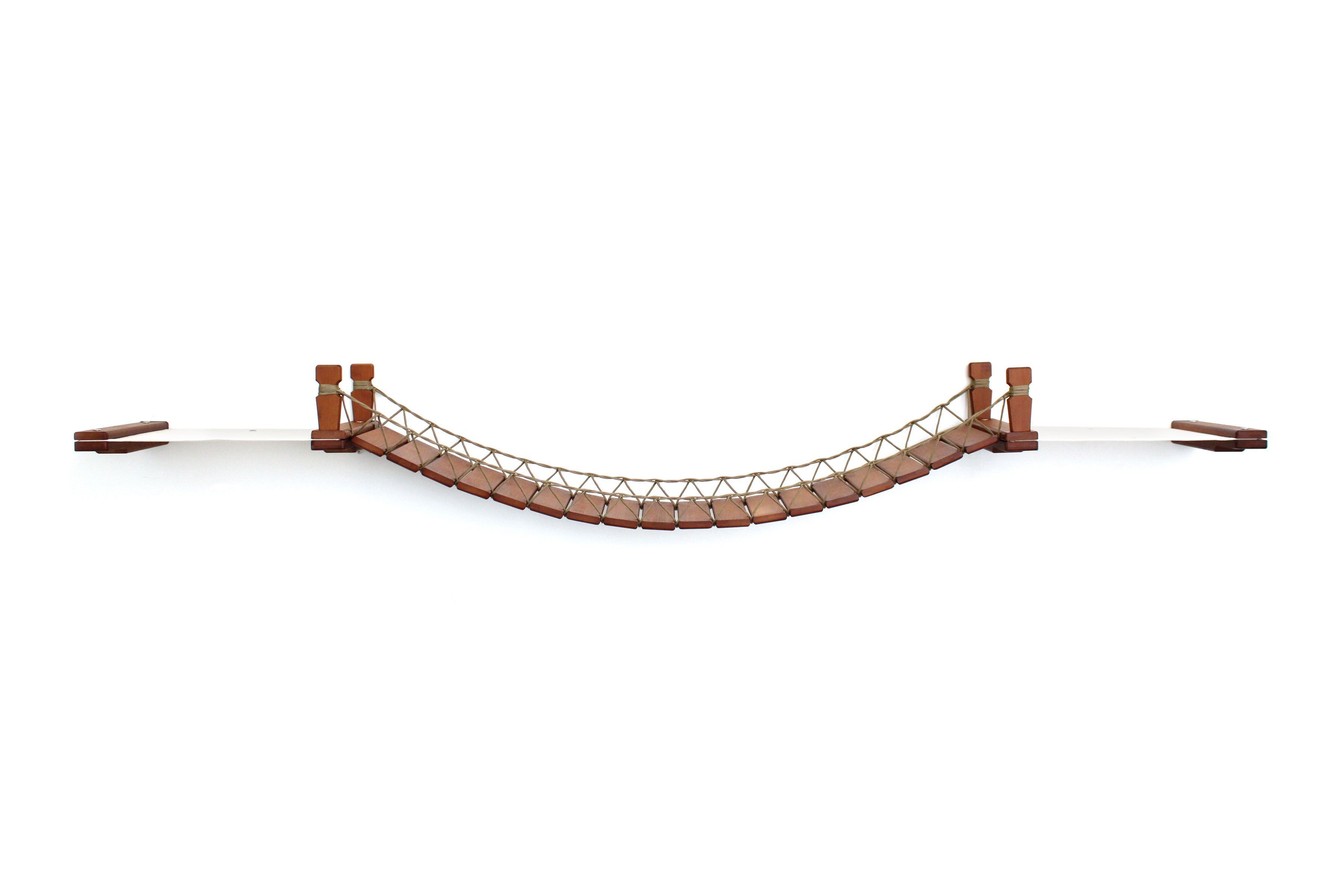 Double Cat Hammock and Climbing Bridge Combo