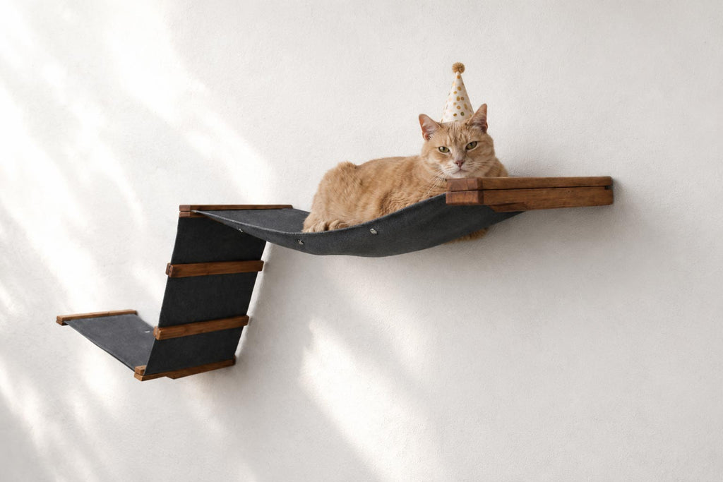The Raceway - Wall Mounted Cat Hammock