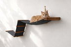 The Raceway - Wall Mounted Cat Hammock
