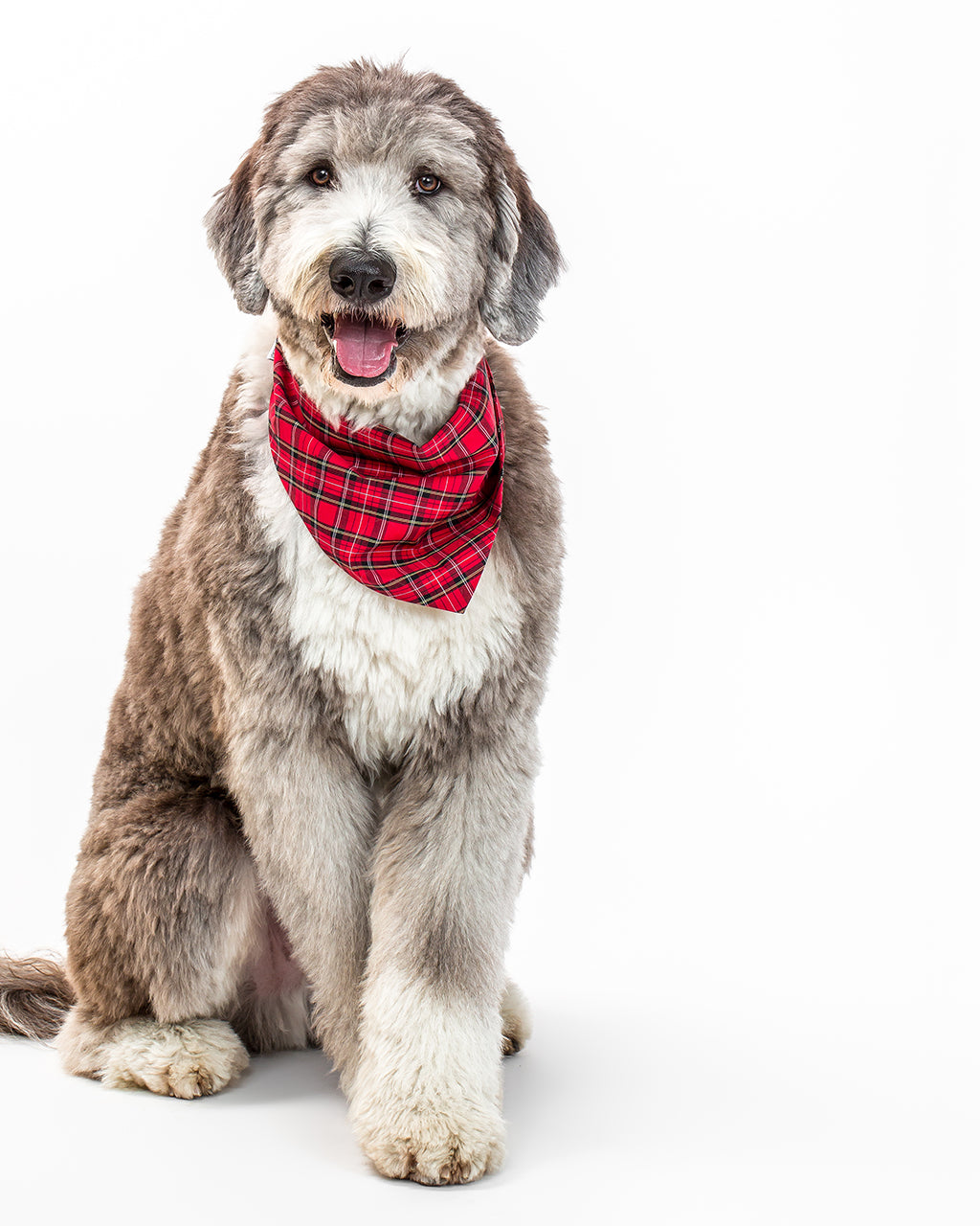 PLAID & WINTER BANDANAS