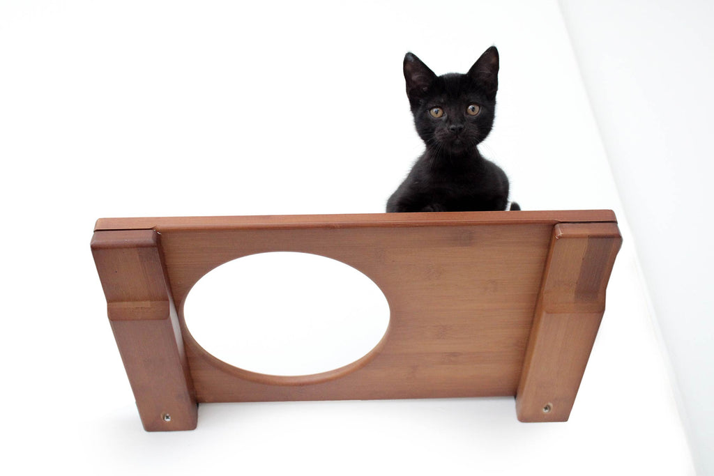 Wall Mounted Cat Shelf