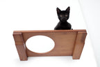 Wall Mounted Cat Shelf