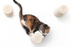 Floating Cat Step for Wall