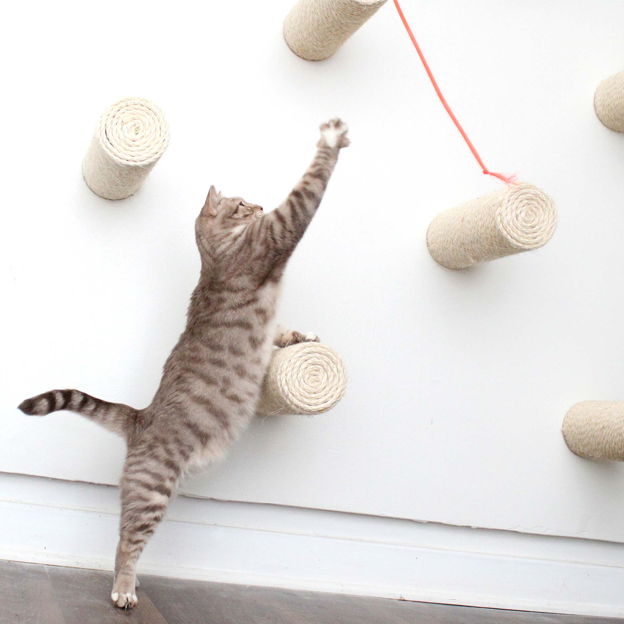Floating Cat Step for Wall