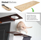 Wall Mounted Cat Shelf