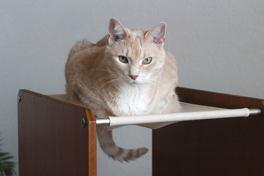 The Overlook - Sturdy - Bamboo Cat Tree