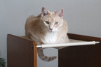 The Overlook - Sturdy - Bamboo Cat Tree
