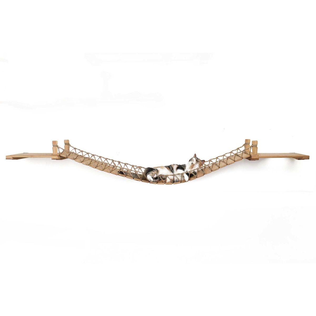Cat Wall Bridge and Shelf Set