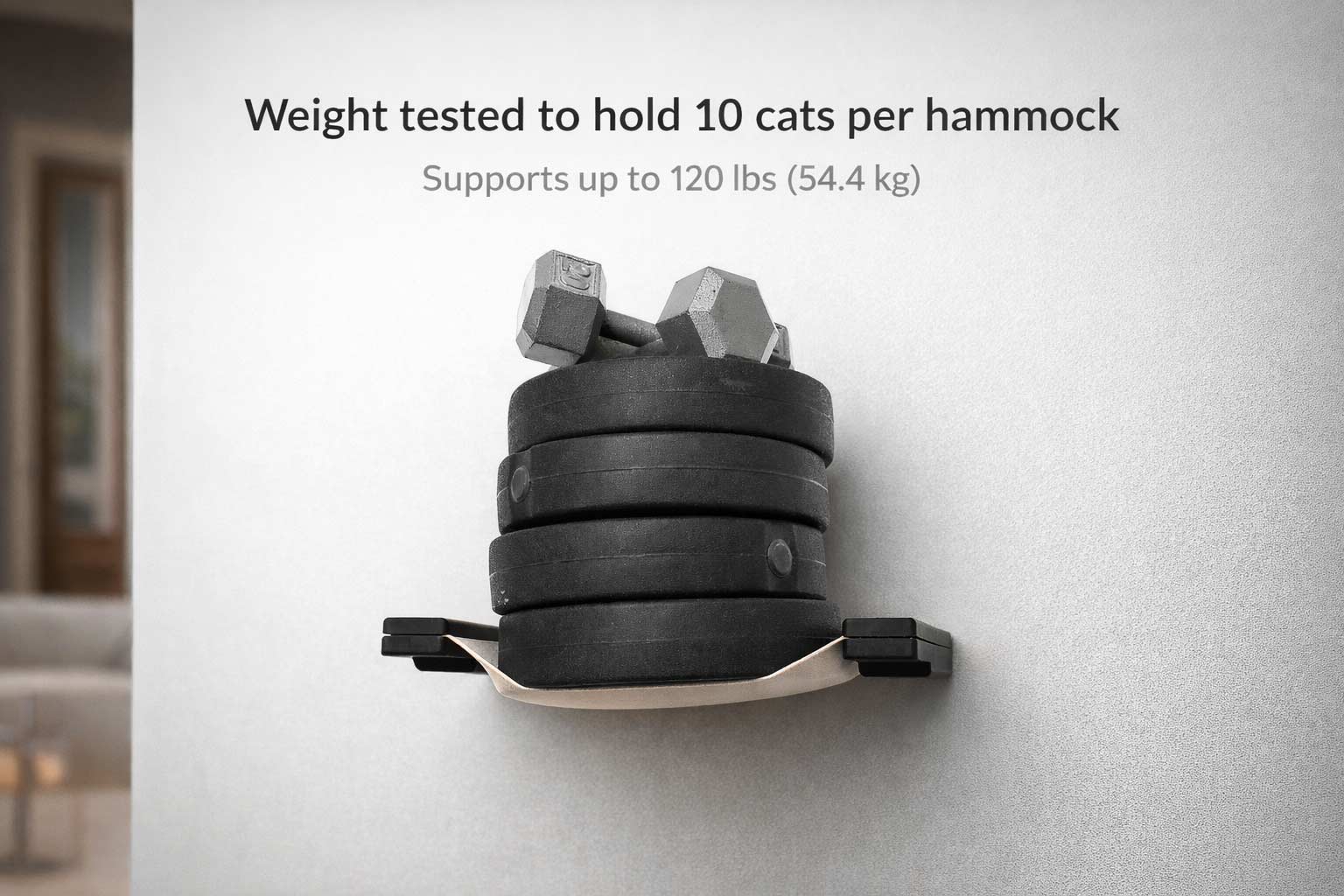 The Play - A Cat Play Wall System