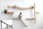 The Expedition - Cat Jungle Gym Wall System
