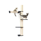 The Crow's Nest - A Wall Cat Scratcher with Hammock